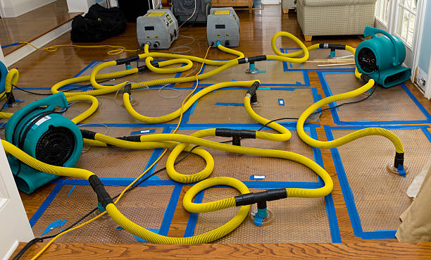 Professional Sewage Cleanup technician working in Pinecliffe, CO